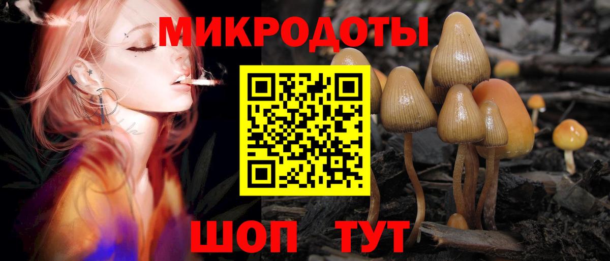 Борзя  Галлюциногенные грибы мицелий  Вход с VPN 